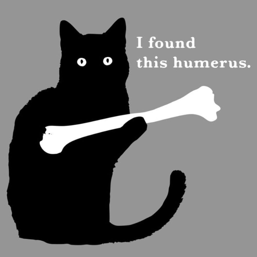 Meet your Posher, Arlene